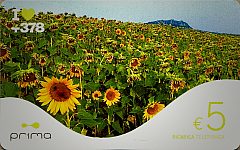 Girasoli