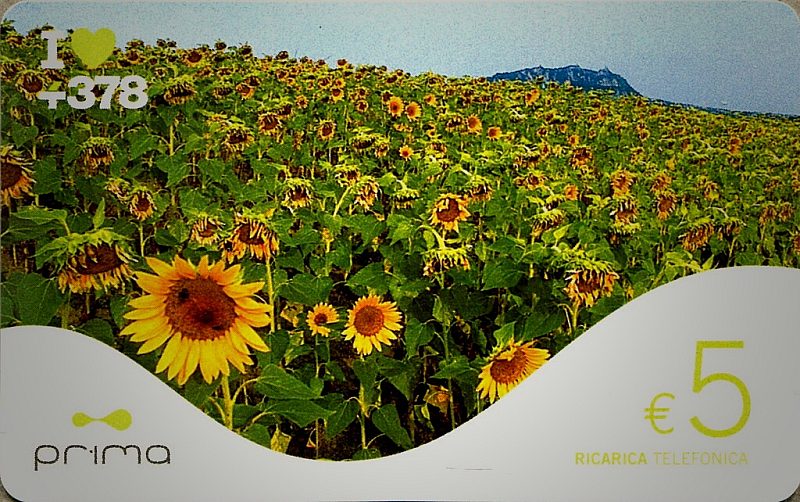 Girasoli