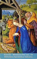 Nativitá - Miniatura