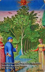 La Divina Commedia - Purgatorio, Canto XXVIII