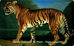 Musei Vaticani - W. Peter, Tigre Ruggente (ARC)